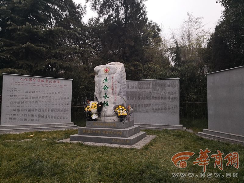 1137504.jpg