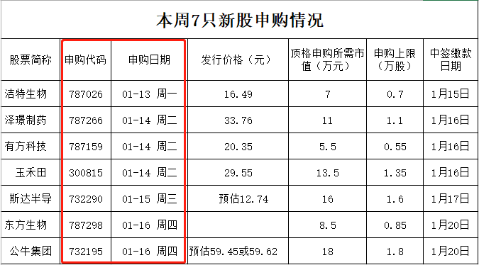 新股大肉签来了 中1签或赚6万！还有可转债也能玩