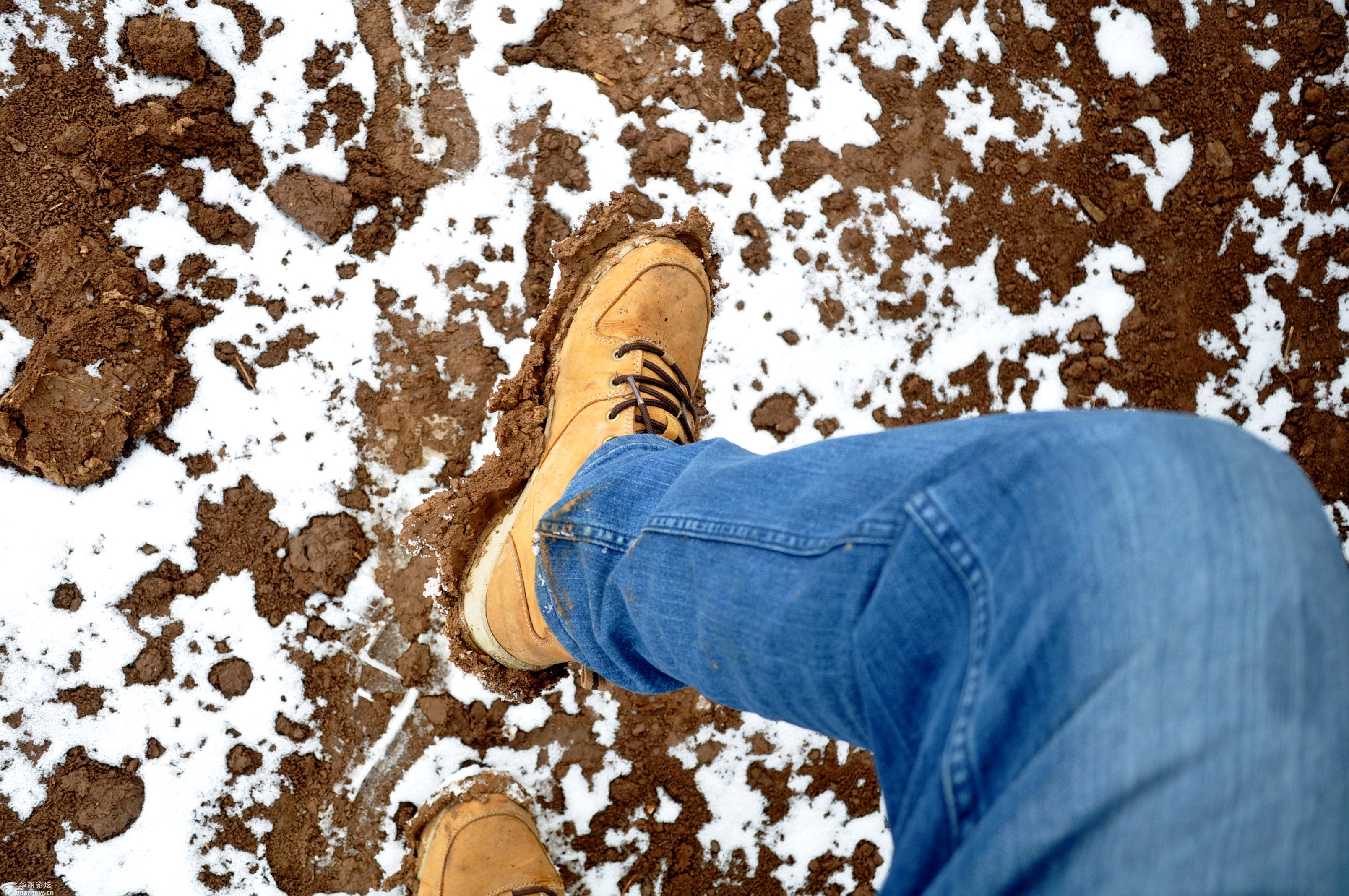 天子峪里难见雪,泥巴拈鞋难抬脚.