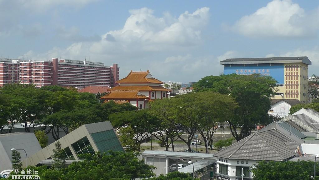 南国游山——新加坡武吉知马自然保护区