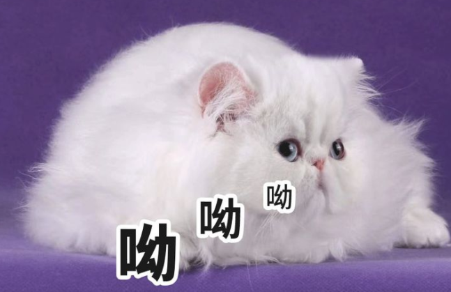 微信截图_20200119093960.png