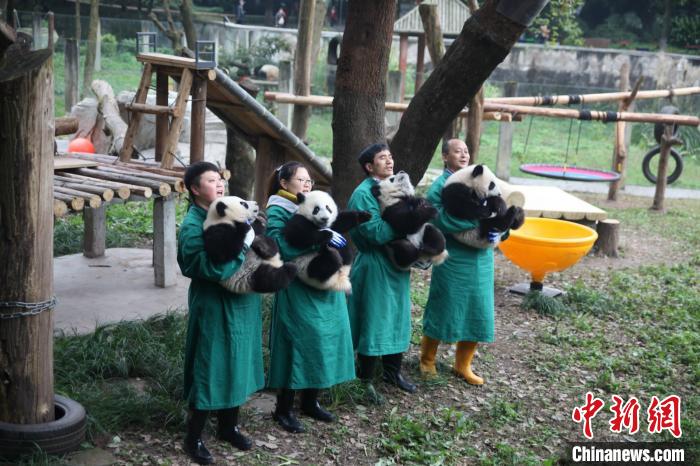 大熊猫3.jpg