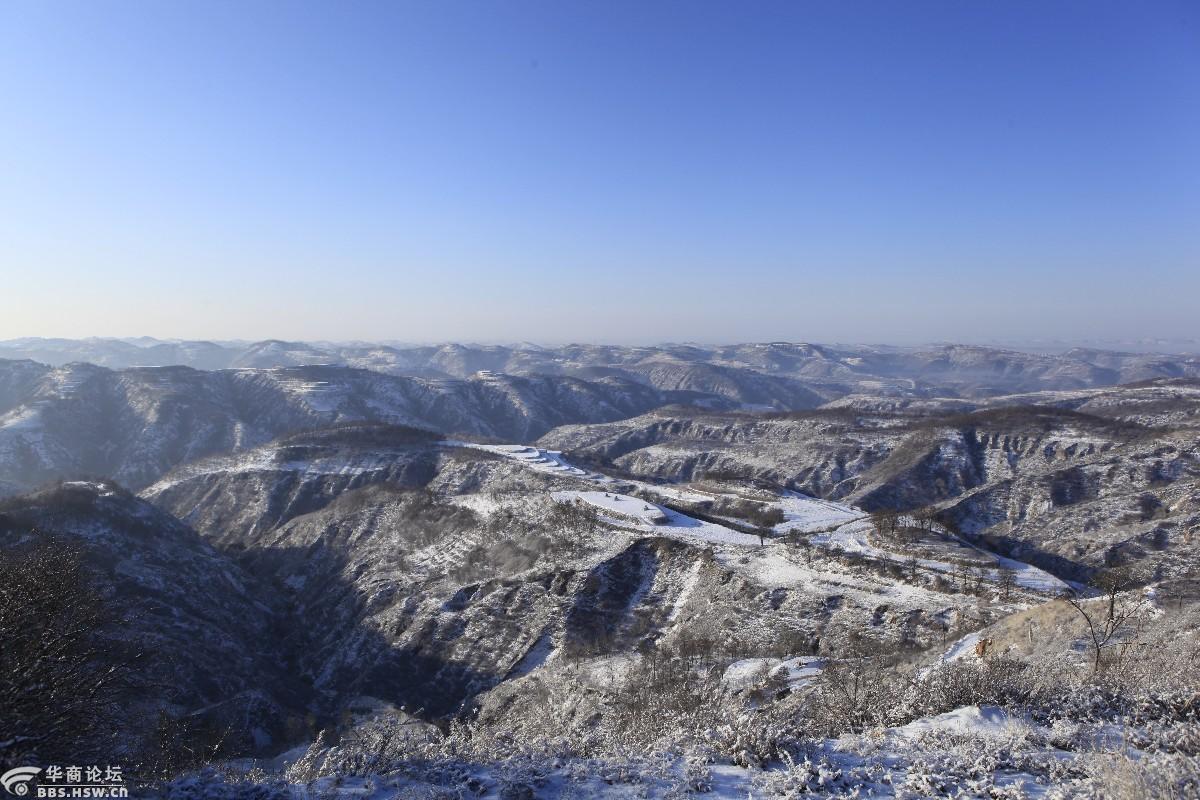 山舞银蛇 原驰蜡象