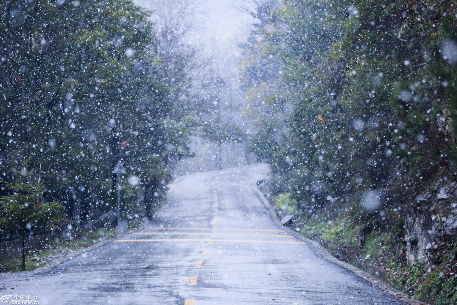 太白深处的大雪天