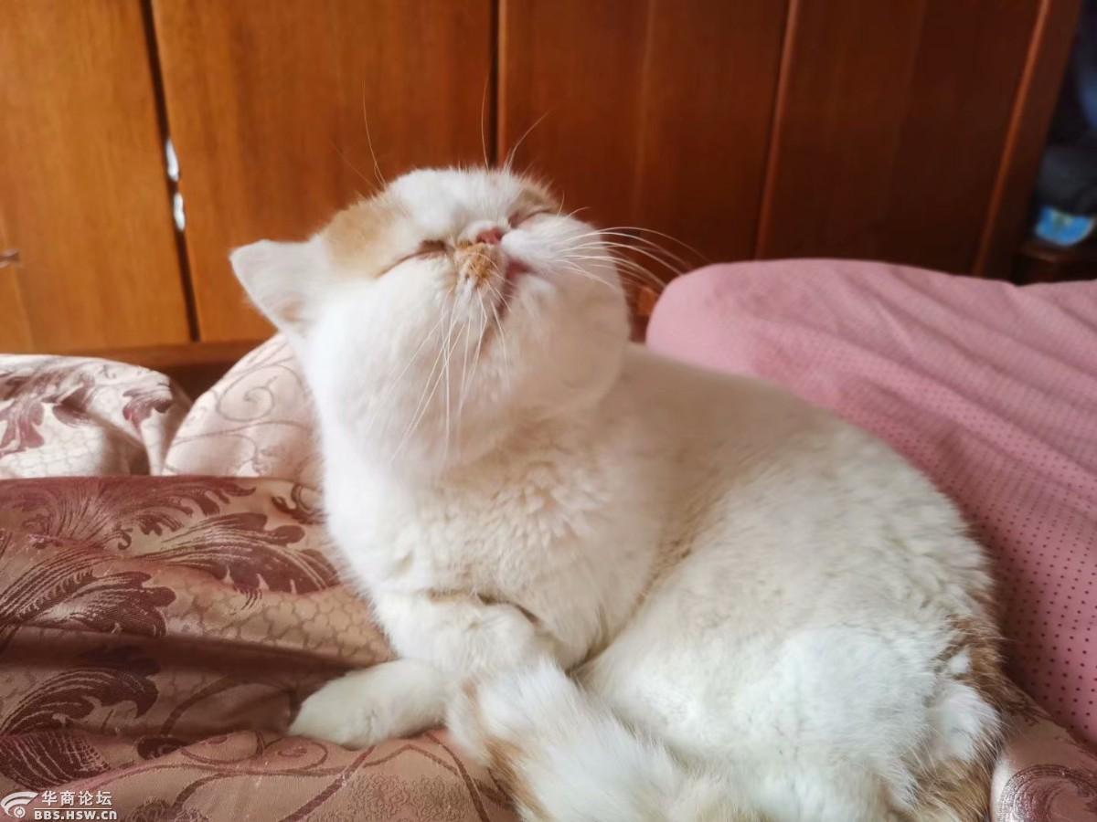 乖乖地待在家里