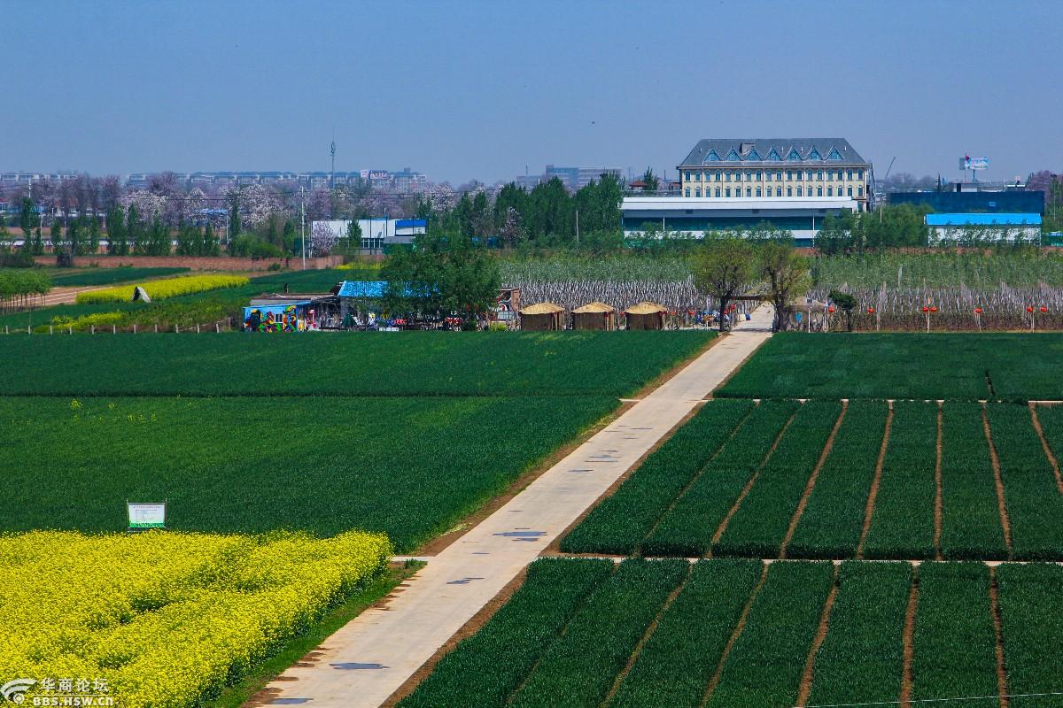 难得的一片净土0202咸阳市农科院试验田一瞥