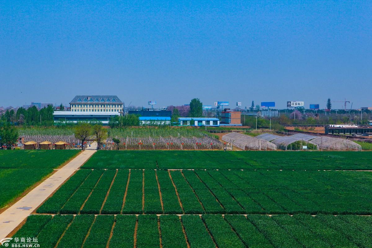 难得的一片净土0202咸阳市农科院试验田一瞥