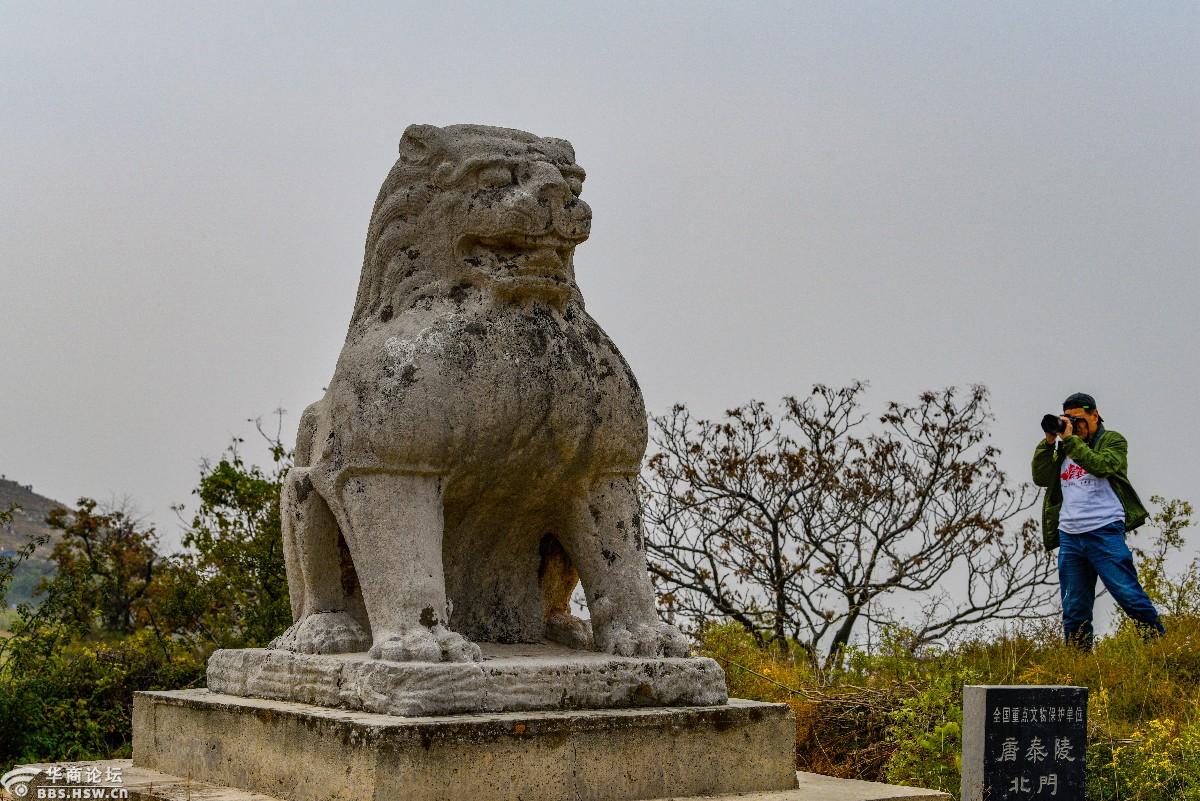 寻唐迹探访唐泰陵玄武门石刻
