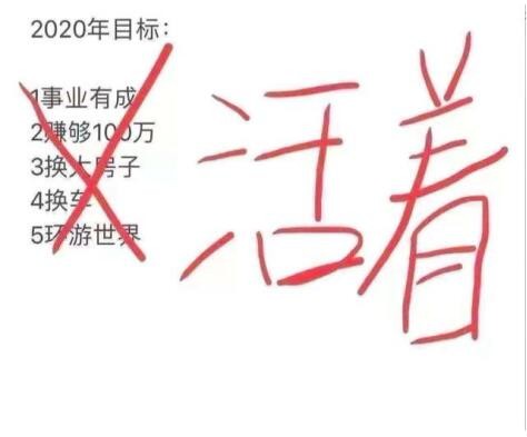 关于2020,你原本的目标是什么?暴富?升职?买房?