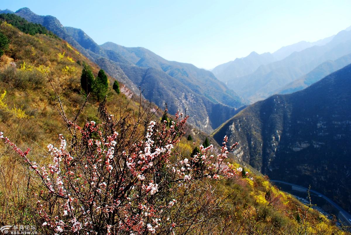 沸腾的三凤山