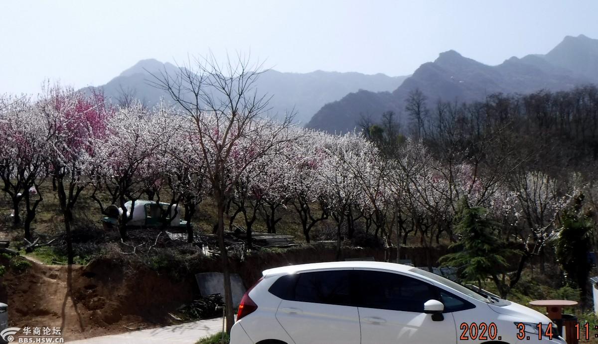 鄠邑区望仙坪圣母山0314