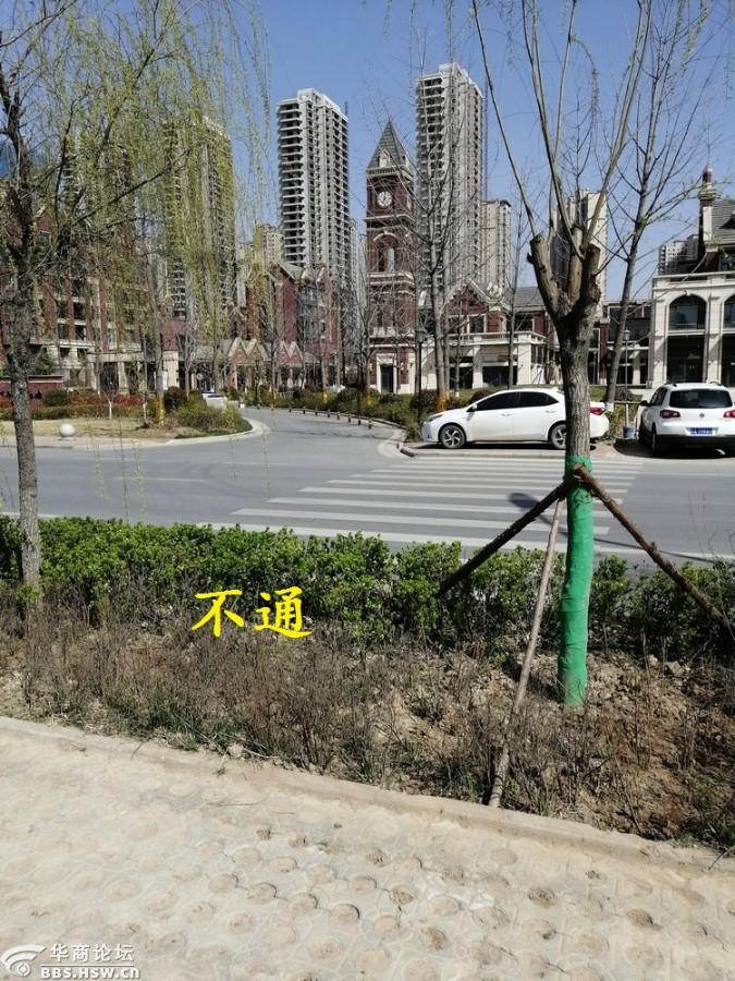 浐河东路的斑马线不方便