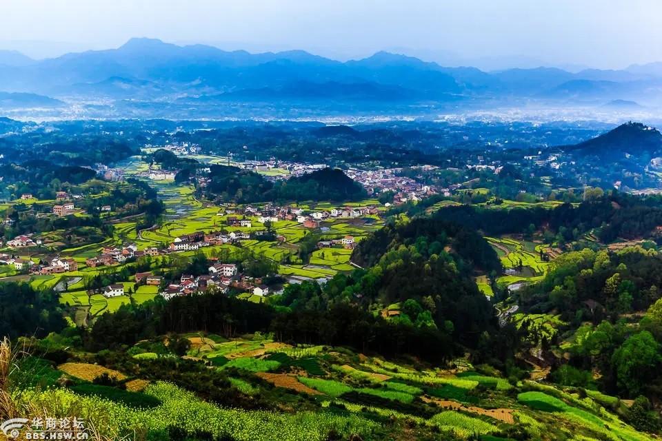 【惠享●旅游●网红花海梅林】汉中勉县油菜花,美人梅,诸葛古镇一日游