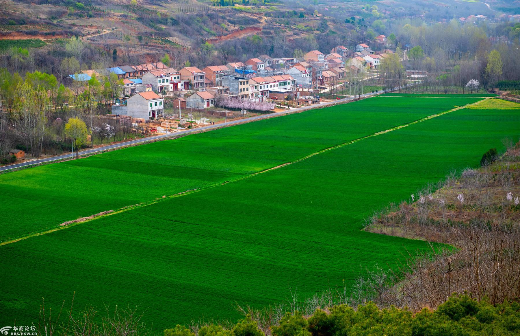 全民乱拍 春游蓝田县鹿走沟村 图酷模式 只看楼主