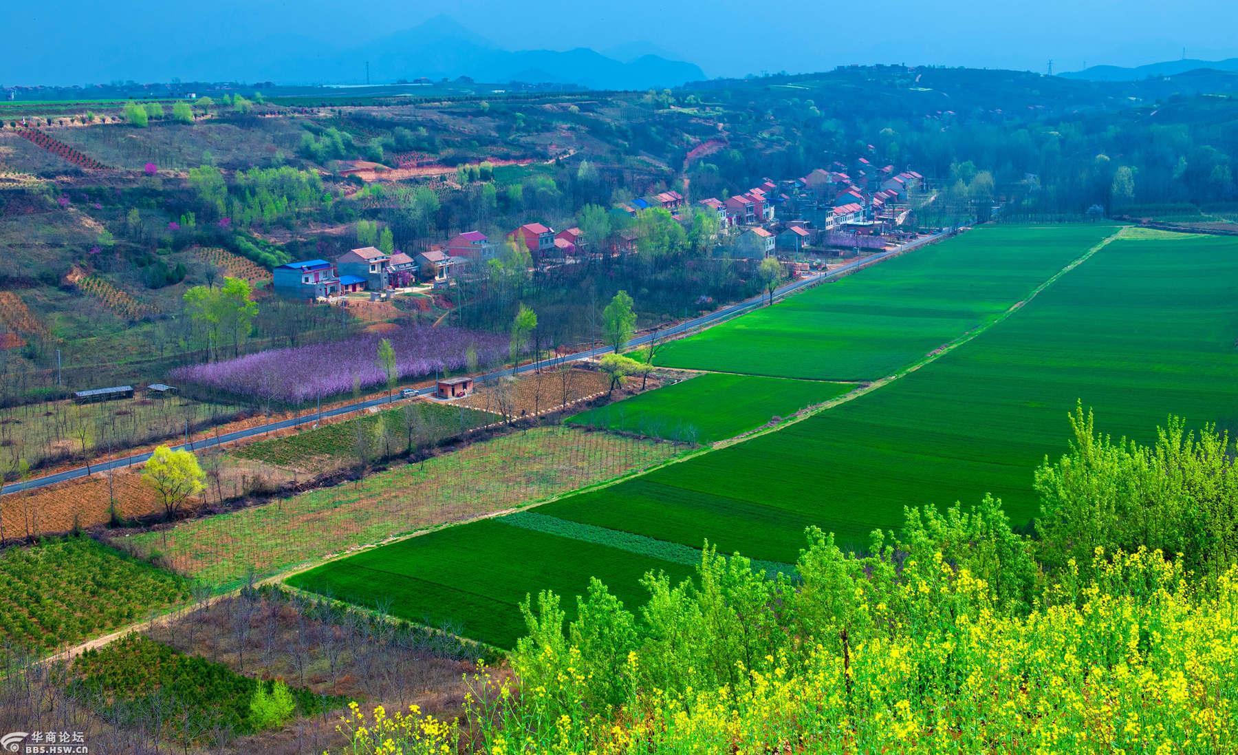 全民乱拍 春游蓝田县鹿走沟村 只看该作者7楼