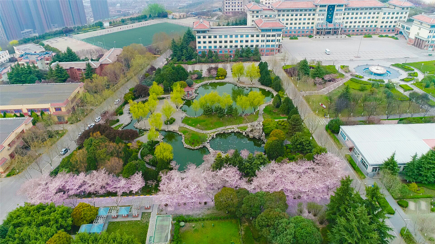 DJI_0006-.jpg