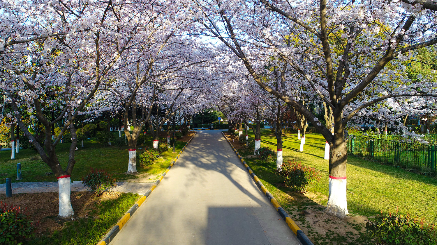 DJI_0013.jpg