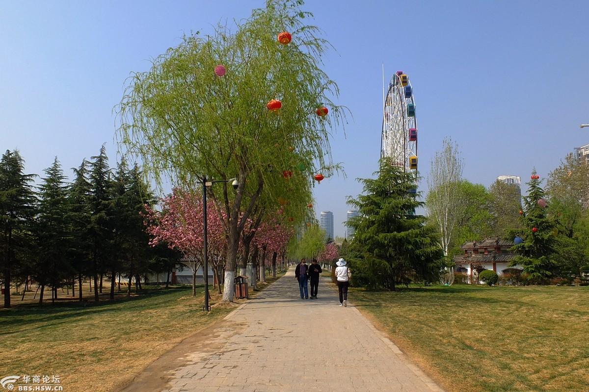 莫负春光好时节咸阳湖赏花季邀你共赏