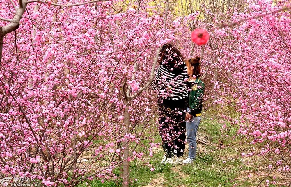 春风送暖花争艳游人个个笑开颜!