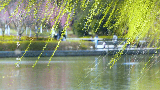 3.gif