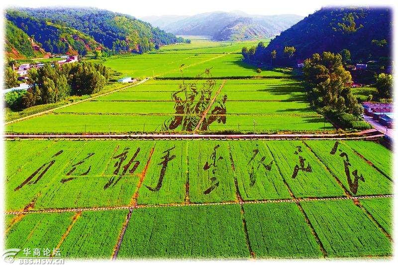 国庆假期壶口瀑布雨岔大峡谷南泥湾金延安2日游