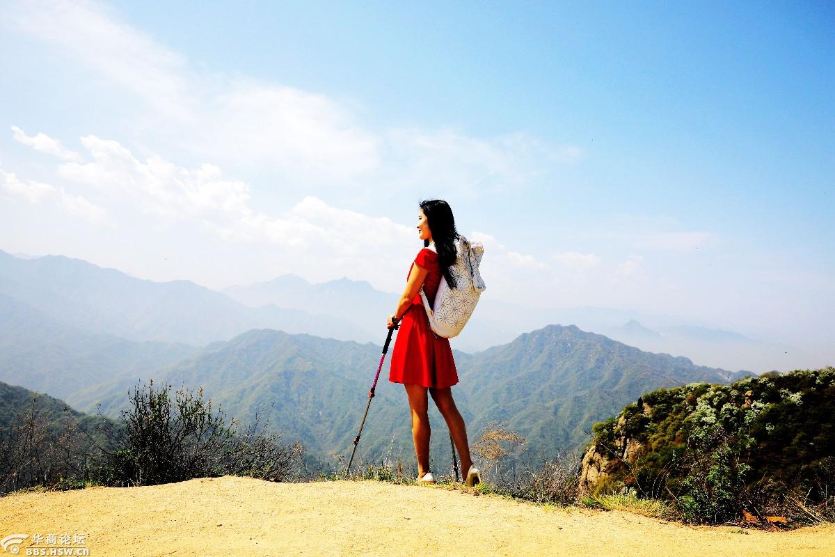 红裙美女驴友徜徉在皇峪寺至子午峪白鹃梅花海梁上
