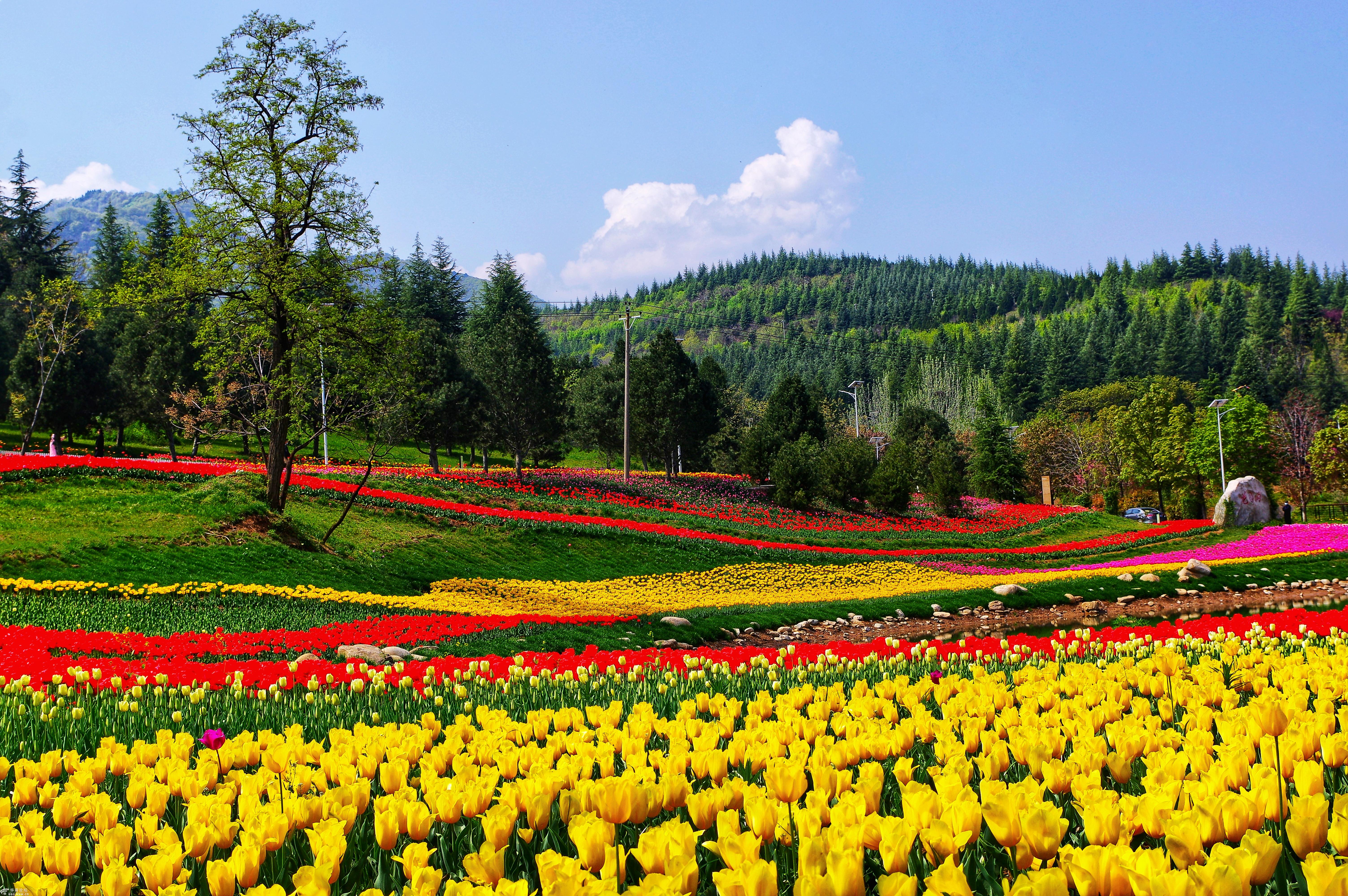秦岭国家植物园