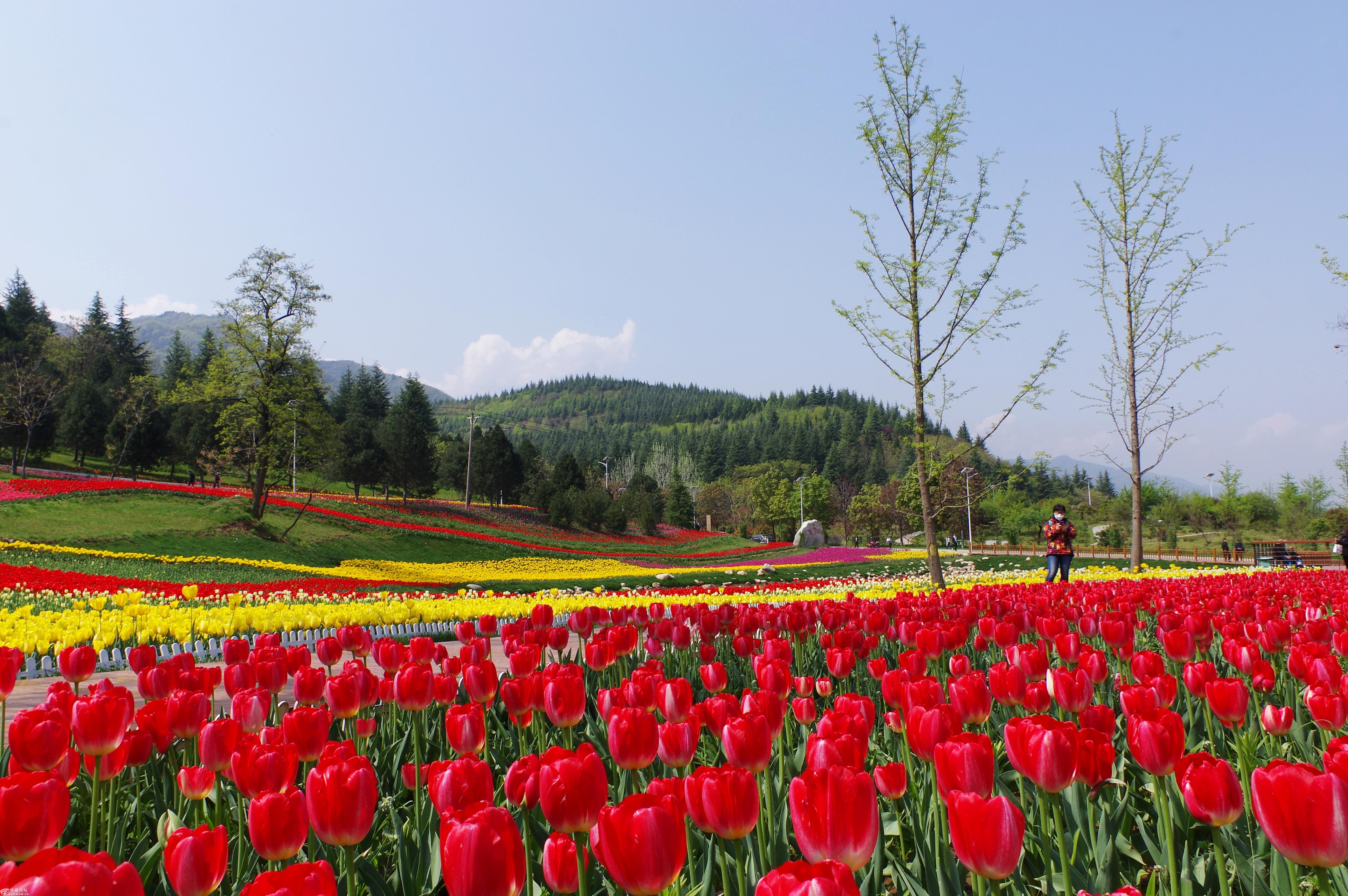 秦岭国家植物园