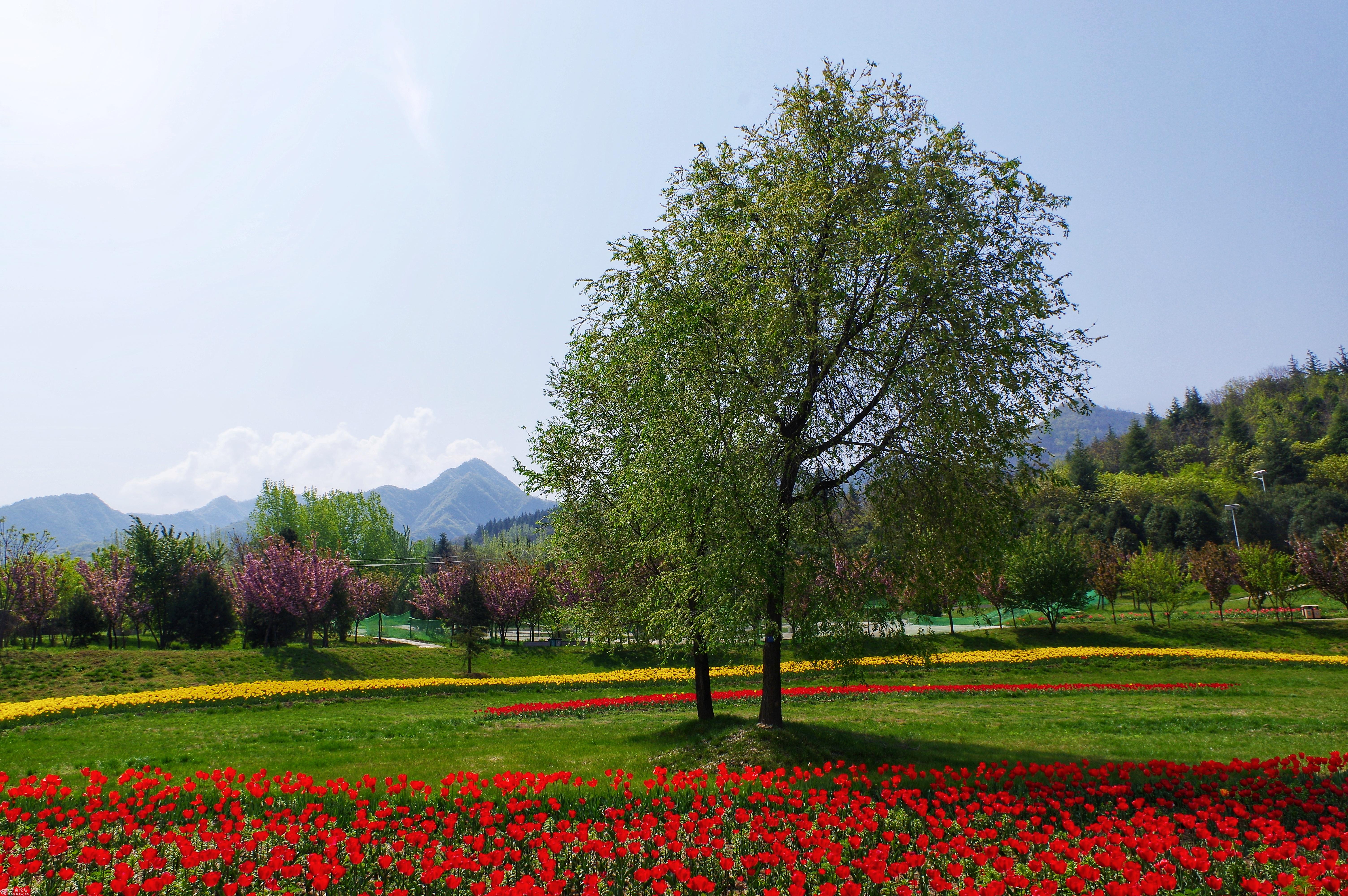 秦岭国家植物园