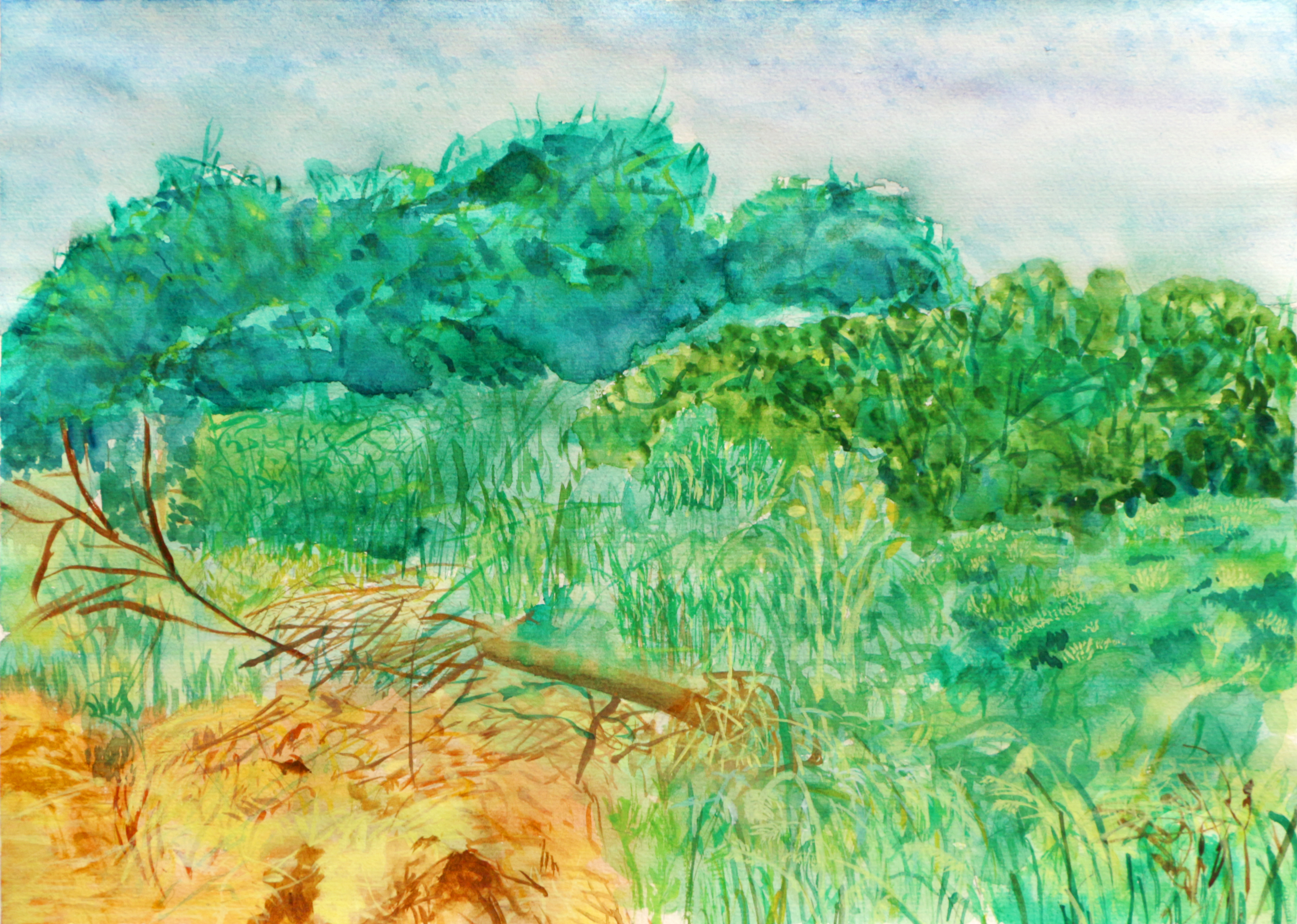 《角落》38×52 纸本水彩 2018年 吴绮芮.jpg