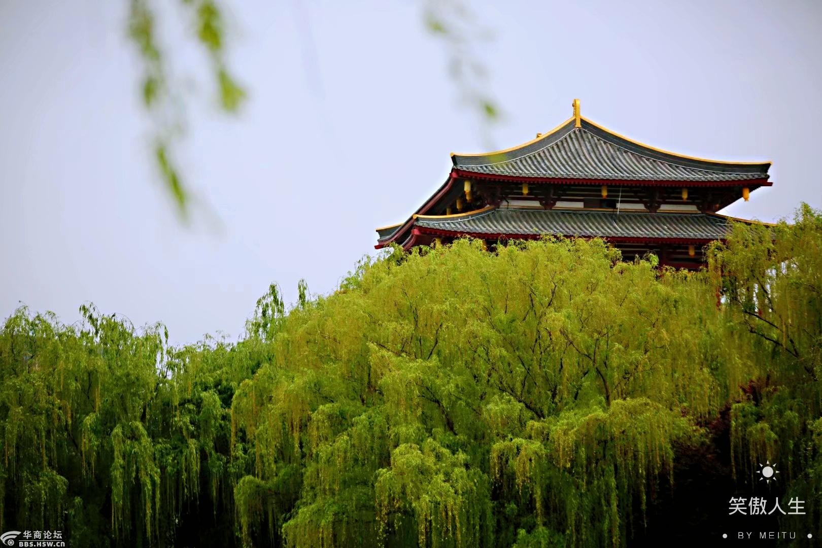 主题:【乱拍月赛】绝胜烟柳满皇都