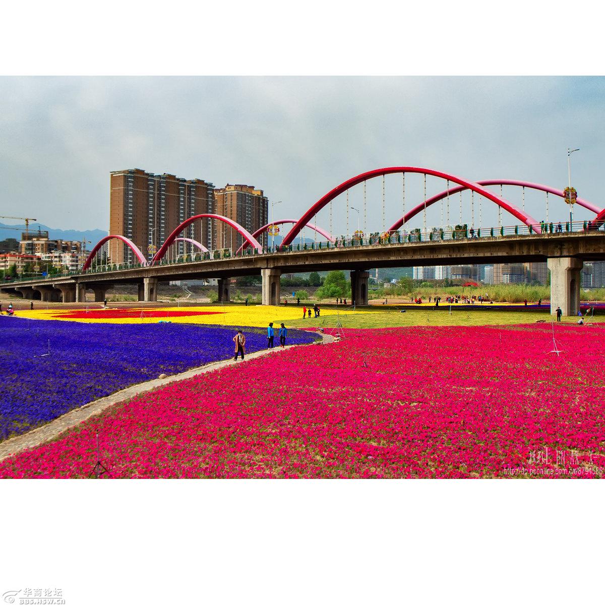 彩虹桥下-宝鸡论坛-华商论坛