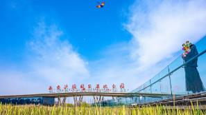 360截图20200422135235529.jpg