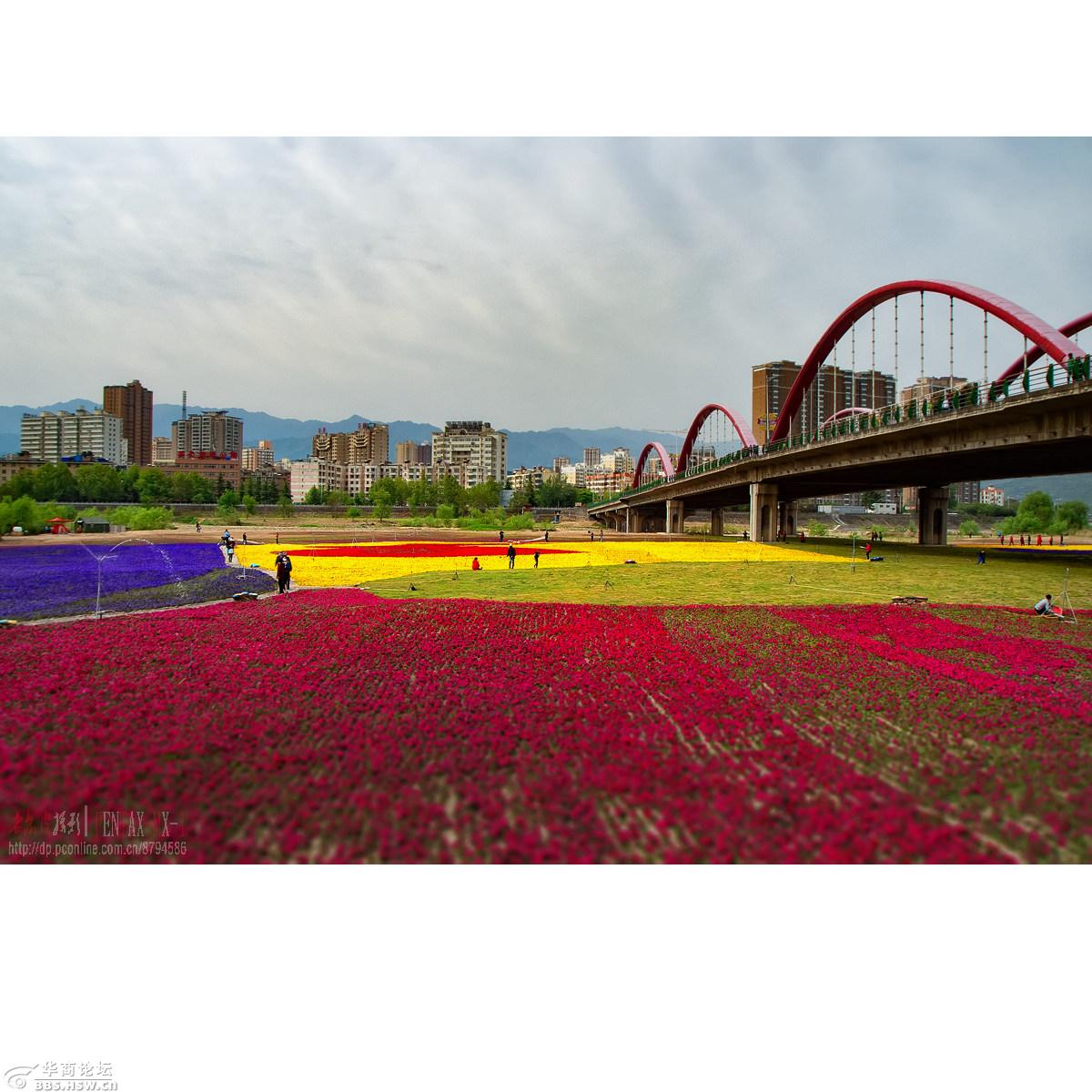 彩虹桥下-宝鸡论坛-华商论坛