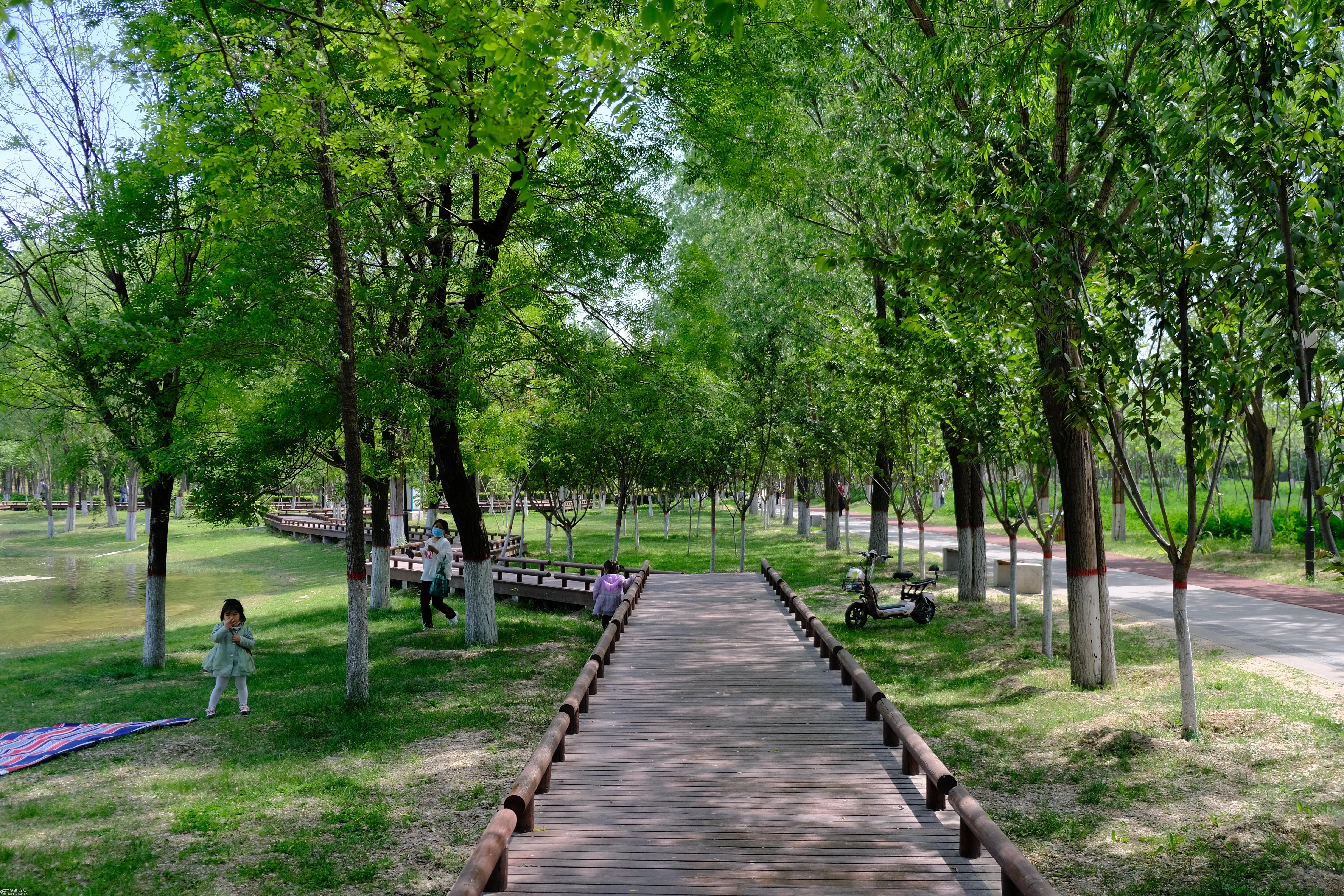 2020425日绿城渭河城市运动公园随拍