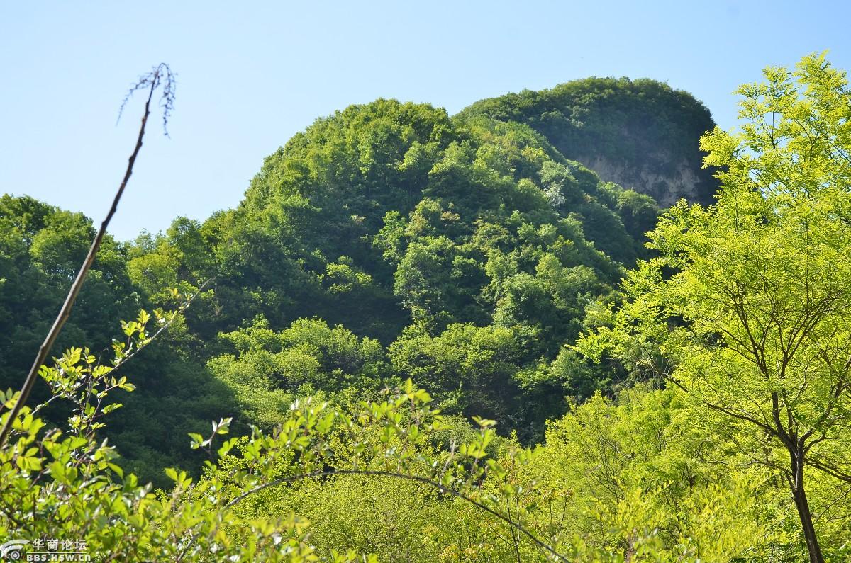 陕西论坛 宝鸡论坛 闲游安平沟
