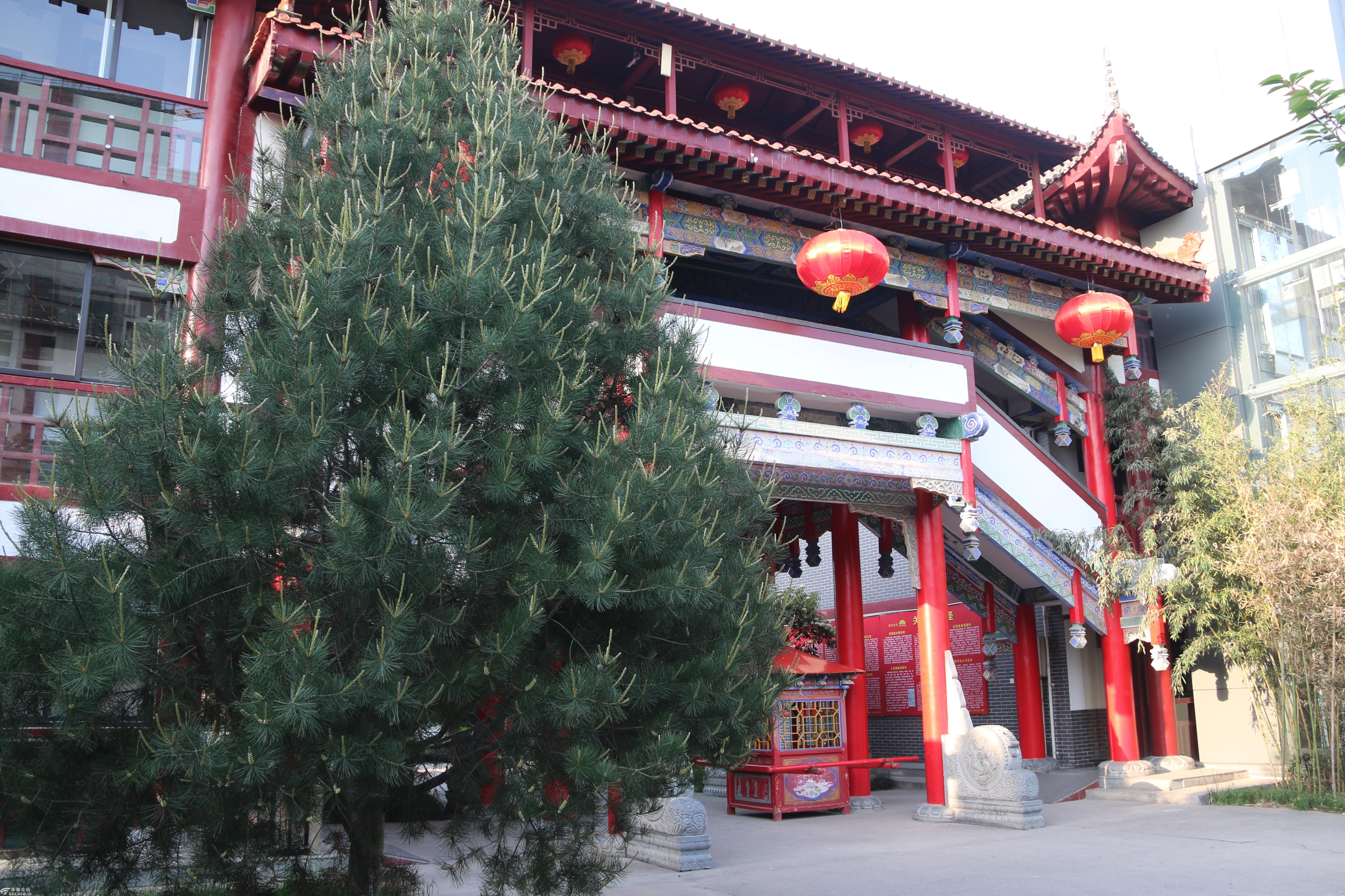 扶风关中风情园之晨