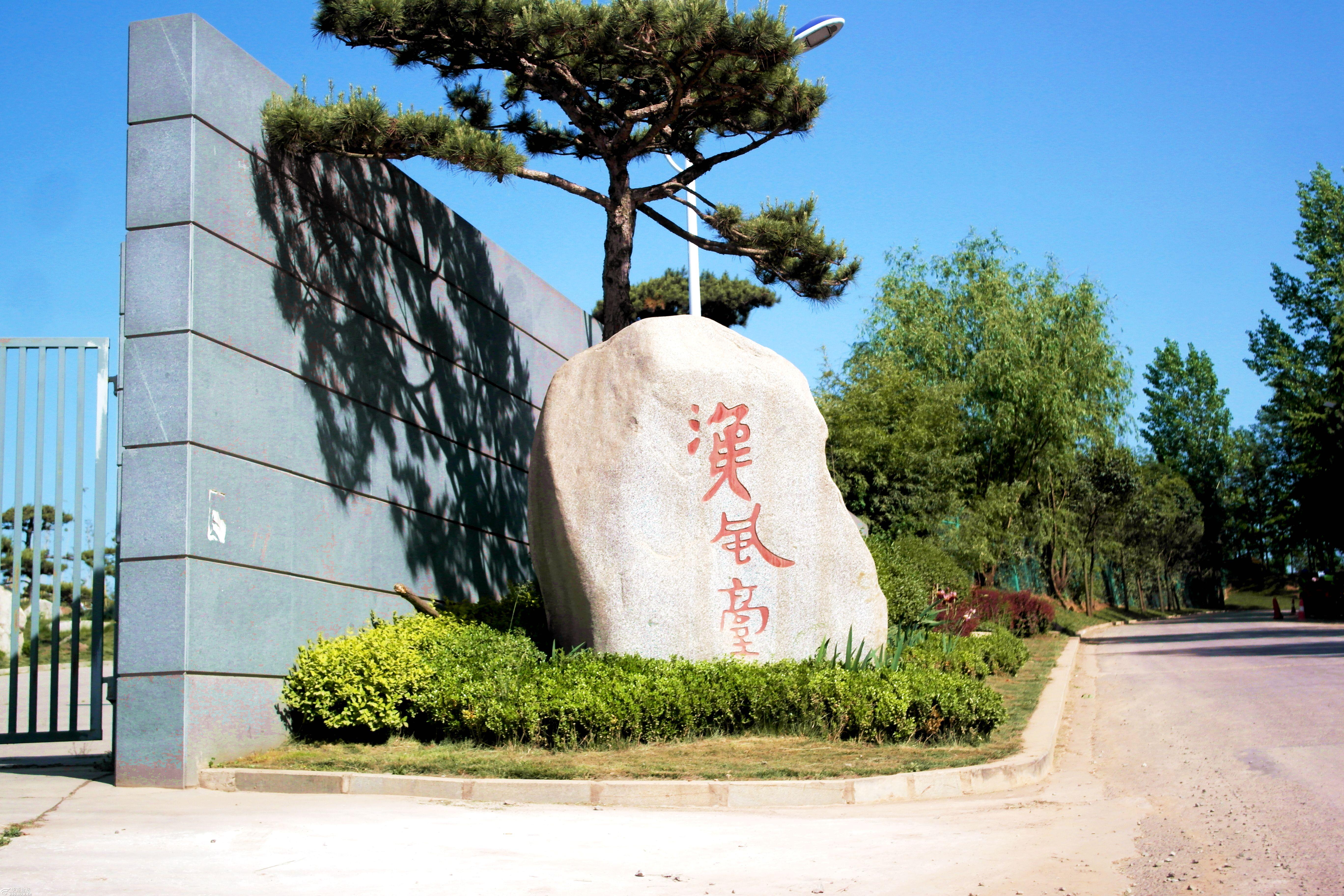 独骑杜陵塬赏景森林园